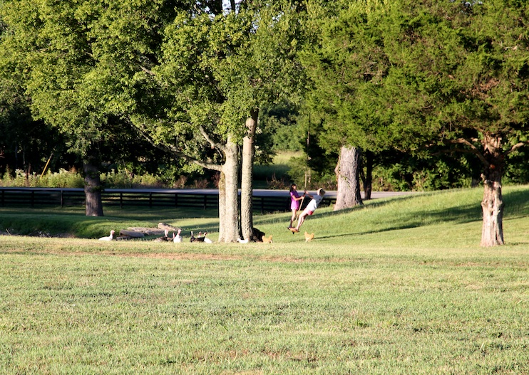 IMG_2164